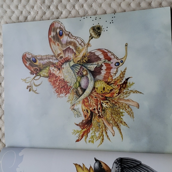 Enchanting Fairies Artistry Book - Picture 4 of 11